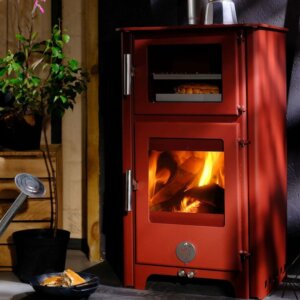 The Fat Penguin Eco Tall Order (Multi Fuel) 5KW